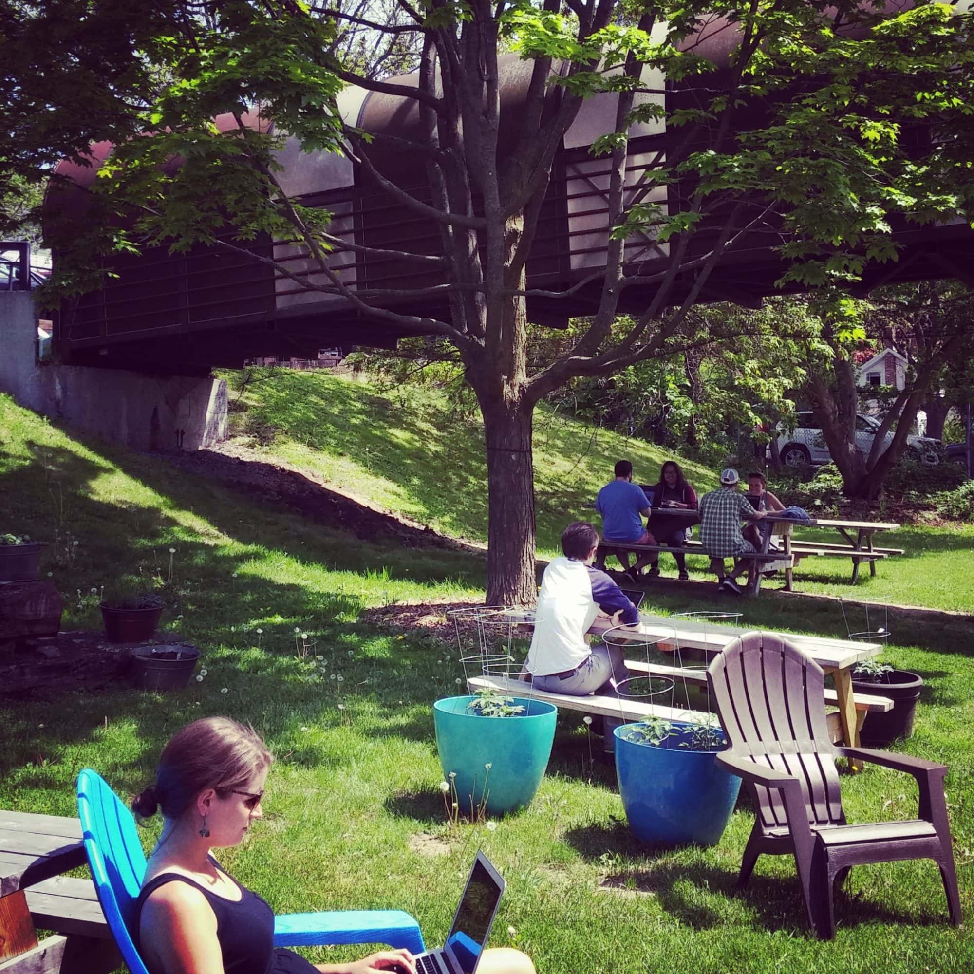 outside on the lawn