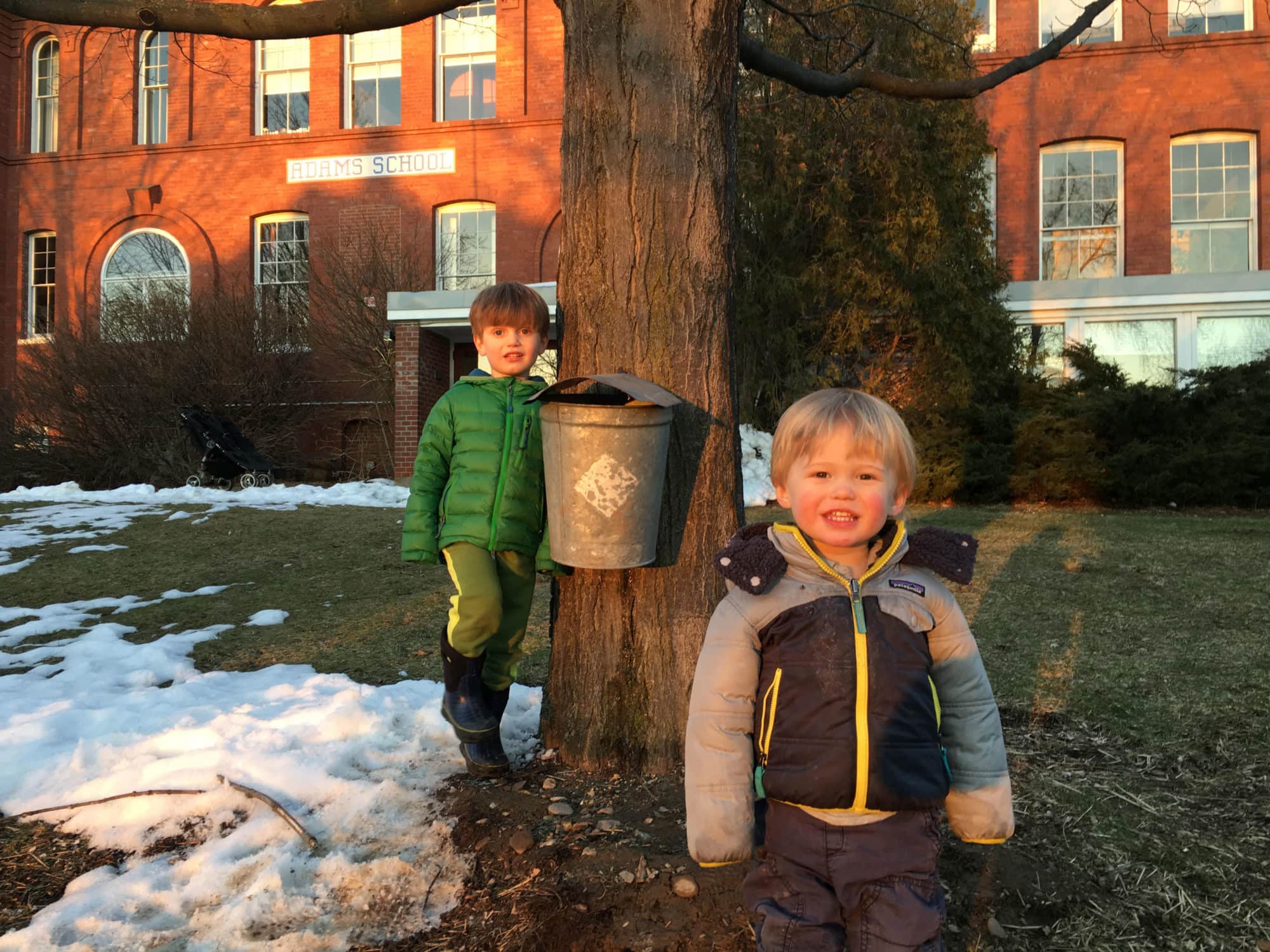 kids tapping maple tree