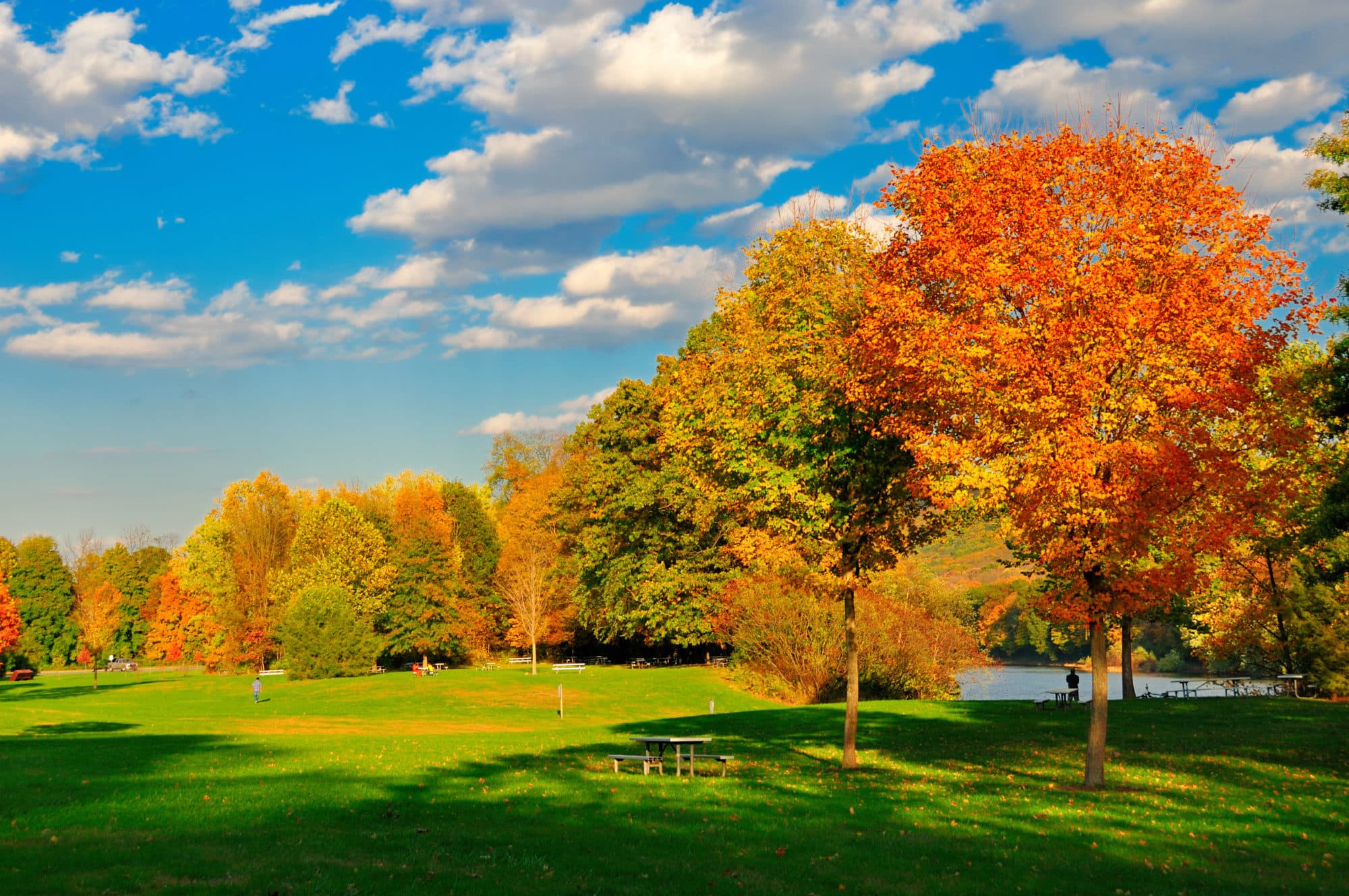 Fall Foliage in New England