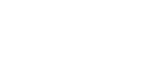 RoseBay International Realty, Inc. logo