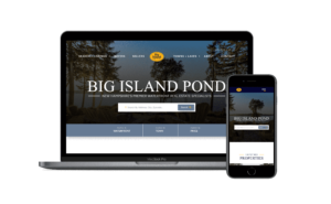 big island real estate website