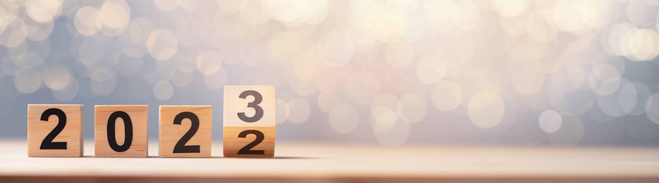 wood block changing from 2022 to 2023